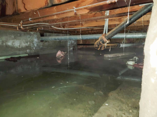 Water damage restoration experts in OH