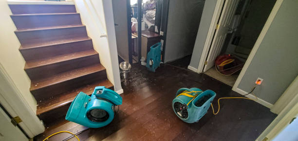 Best Ceiling water damage repair  in Ravenna, OH