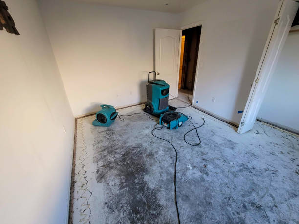 Best 24/7 water damage repair  in Ravenna, OH
