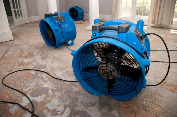 Best Sewage cleanup and water damage restoration  in Ravenna, OH