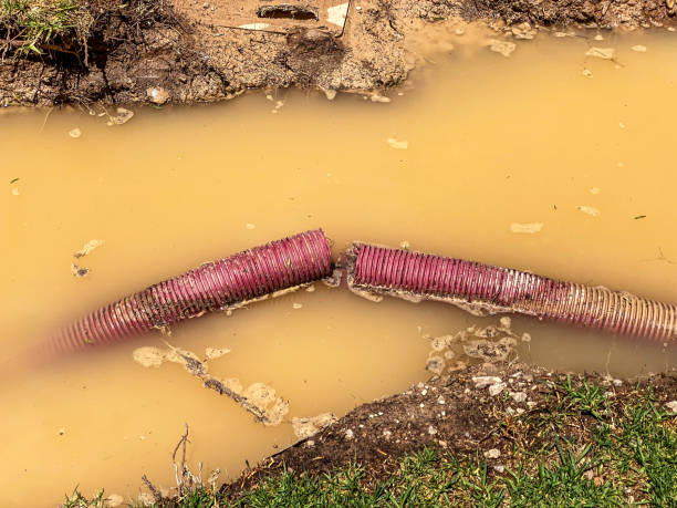Best Water damage cleanup near me  in Ravenna, OH