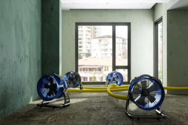 Best Water damage repair service  in Ravenna, OH